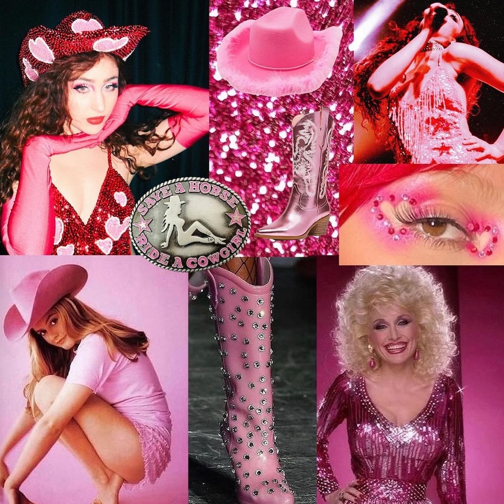✨PINK PONY CLUB✨
